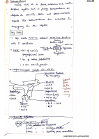 NE insurgency.pdf